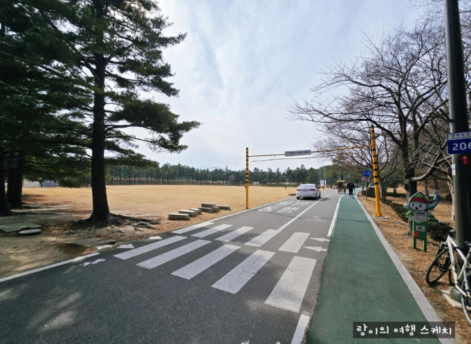 영랑호 산책로