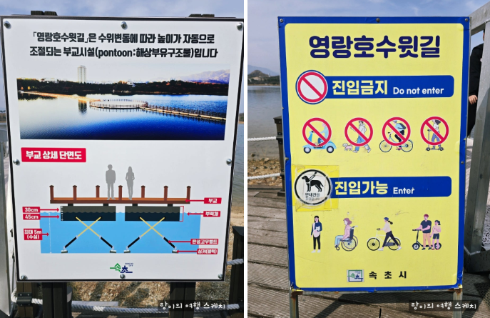 영랑호 안내문